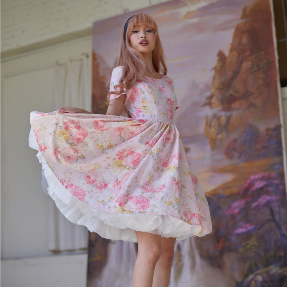 Maison Amory Dreamboat dress in baby pink garden, size medium